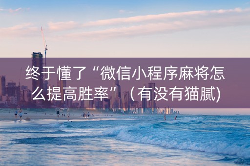 终于懂了“微信小程序麻将怎么提高胜率”（有没有猫腻)