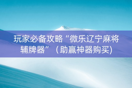 玩家必备攻略“微乐辽宁麻将辅牌器”（助赢神器购买)