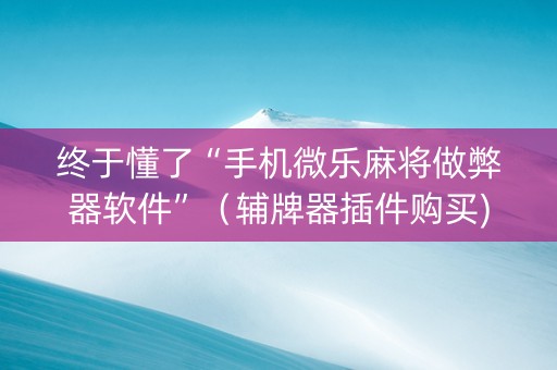 终于懂了“手机微乐麻将做弊器软件”（辅牌器插件购买)