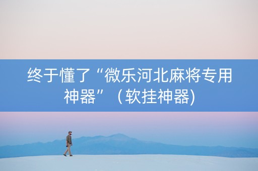 终于懂了“微乐河北麻将专用神器”（软挂神器)