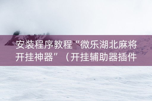 安装程序教程“微乐湖北麻将开挂神器”（开挂辅助器插件)