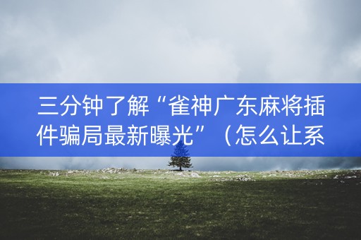 三分钟了解“雀神广东麻将插件骗局最新曝光”（怎么让系统给自己好牌)