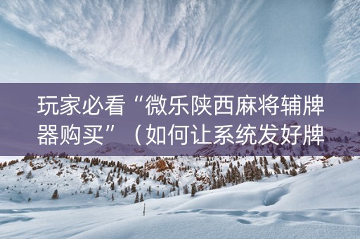 玩家必看“微乐陕西麻将辅牌器购买”（如何让系统发好牌)