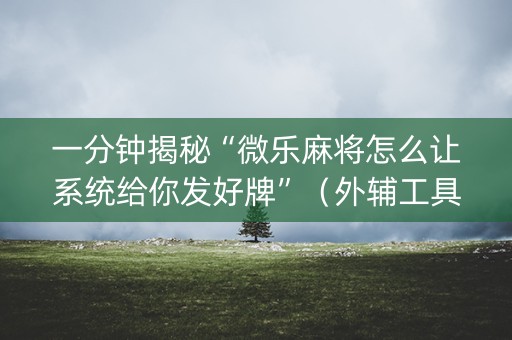一分钟揭秘“微乐麻将怎么让系统给你发好牌”（外辅工具)