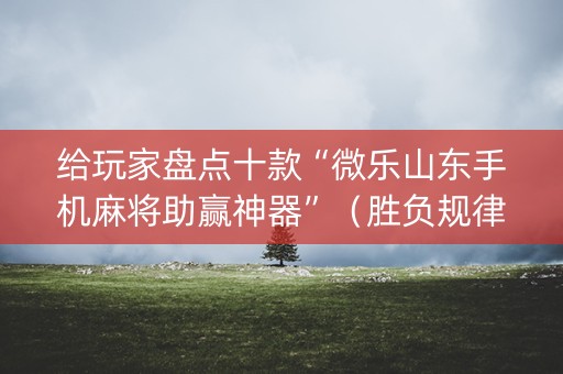 给玩家盘点十款“微乐山东手机麻将助赢神器”（胜负规律拿好牌)