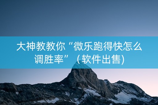 大神教教你“微乐跑得快怎么调胜率”（软件出售)