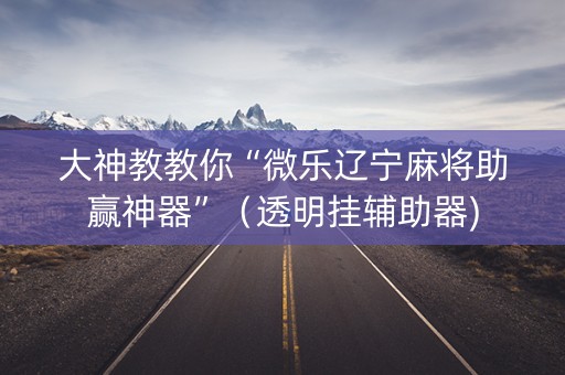 大神教教你“微乐辽宁麻将助赢神器”（透明挂辅助器)