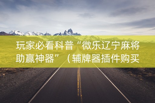 玩家必看科普“微乐辽宁麻将助赢神器”（辅牌器插件购买)