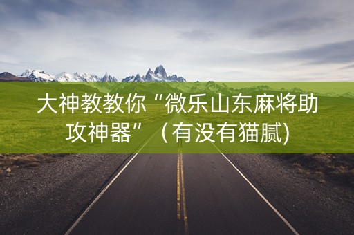 大神教教你“微乐山东麻将助攻神器”（有没有猫腻)