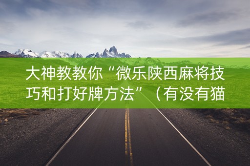 大神教教你“微乐陕西麻将技巧和打好牌方法”（有没有猫腻)