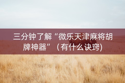 三分钟了解“微乐天津麻将胡牌神器”（有什么诀窍)