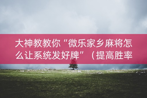 大神教教你“微乐家乡麻将怎么让系统发好牌”（提高胜率软件)