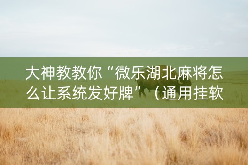 大神教教你“微乐湖北麻将怎么让系统发好牌”（通用挂软件多少钱)