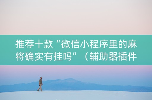 推荐十款“微信小程序里的麻将确实有挂吗”（辅助器插件)