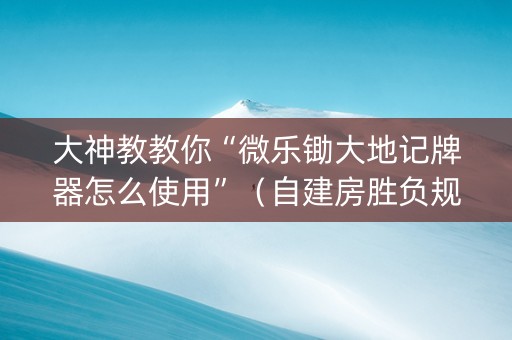 大神教教你“微乐锄大地记牌器怎么使用”（自建房胜负规律)