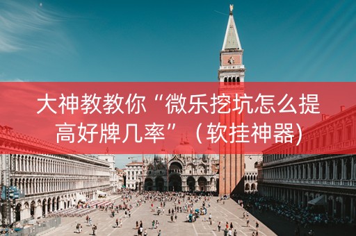 大神教教你“微乐挖坑怎么提高好牌几率”（软挂神器)