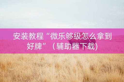 安装教程“微乐够级怎么拿到好牌”（辅助器下载)