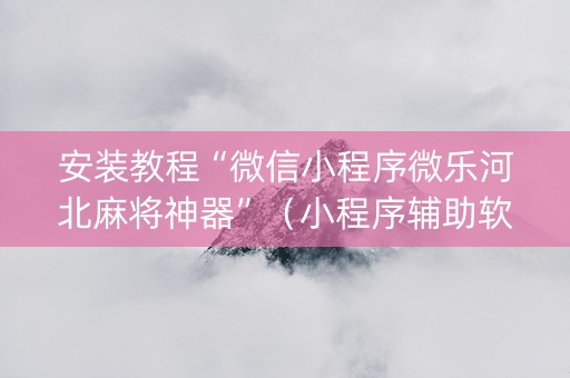 安装教程“微信小程序微乐河北麻将神器”（小程序辅助软件)