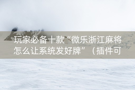 玩家必备十款“微乐浙江麻将怎么让系统发好牌”（插件可信吗)