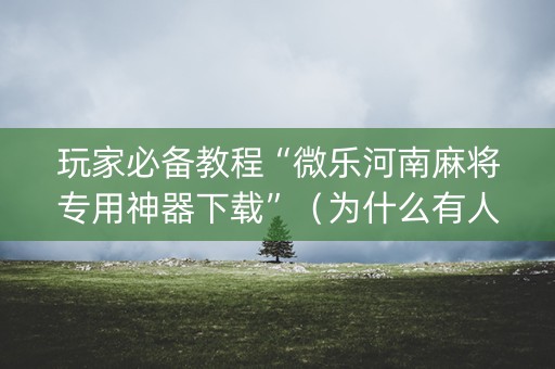 玩家必备教程“微乐河南麻将专用神器下载”（为什么有人一直赢)