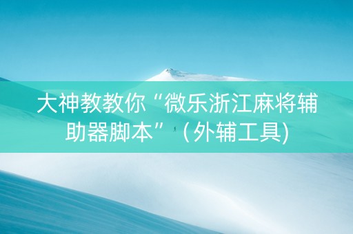 大神教教你“微乐浙江麻将辅助器脚本”（外辅工具)