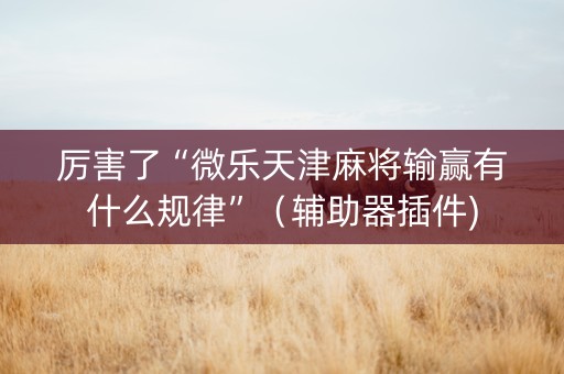 厉害了“微乐天津麻将输赢有什么规律”（辅助器插件)