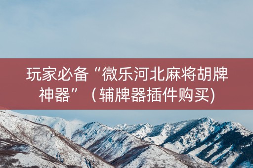 玩家必备“微乐河北麻将胡牌神器”（辅牌器插件购买)