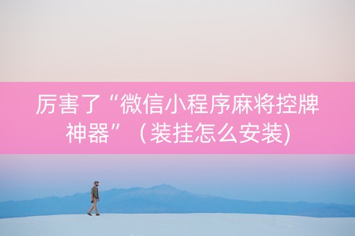 厉害了“微信小程序麻将控牌神器”（装挂怎么安装)