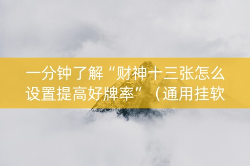 一分钟了解“财神十三张怎么设置提高好牌率”（通用挂软件多少钱)
