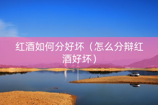 红酒如何分好坏（怎么分辩红酒好坏）