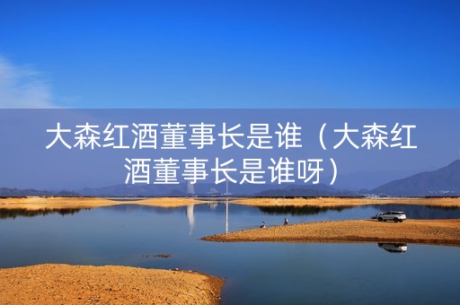 大森红酒董事长是谁（大森红酒董事长是谁呀）