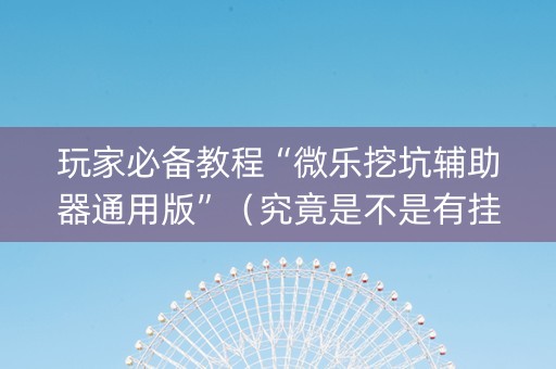 玩家必备教程“微乐挖坑辅助器通用版”（究竟是不是有挂)