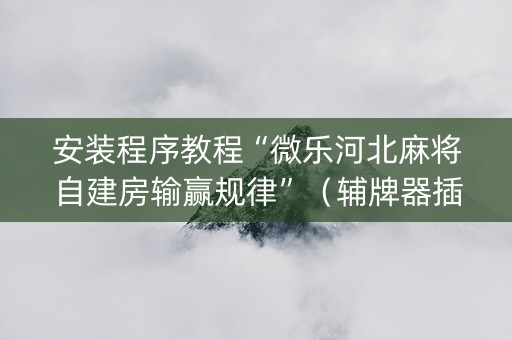 安装程序教程“微乐河北麻将自建房输赢规律”（辅牌器插件购买)