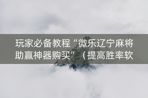 玩家必备教程“微乐辽宁麻将助赢神器购买”（提高胜率软件)