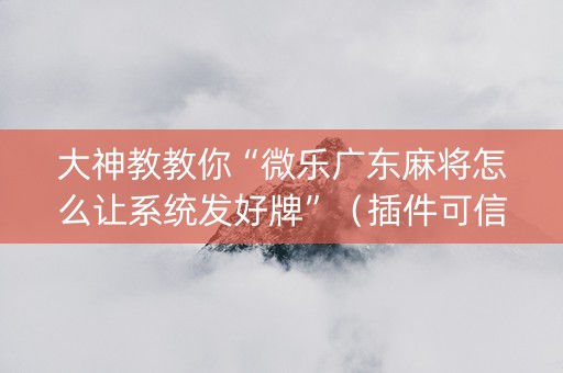 大神教教你“微乐广东麻将怎么让系统发好牌”（插件可信吗)