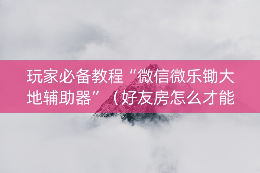 玩家必备教程“微信微乐锄大地辅助器”（好友房怎么才能赢)