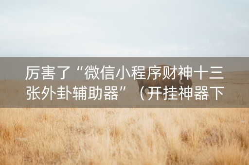 厉害了“微信小程序财神十三张外卦辅助器”（开挂神器下载)