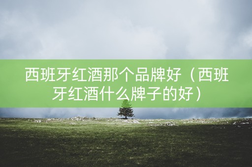 西班牙红酒那个品牌好（西班牙红酒什么牌子的好）