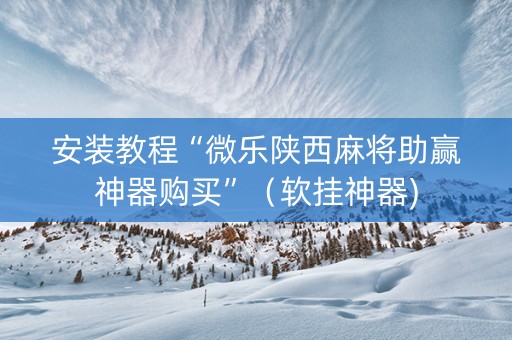 安装教程“微乐陕西麻将助赢神器购买”（软挂神器)