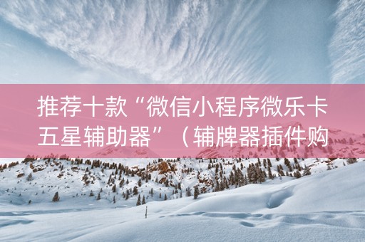 推荐十款“微信小程序微乐卡五星辅助器”（辅牌器插件购买)