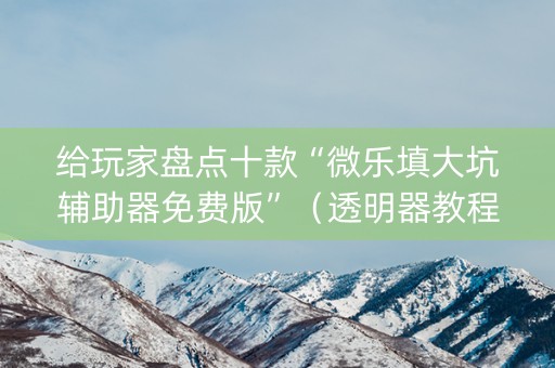 给玩家盘点十款“微乐填大坑辅助器免费版”（透明器教程)
