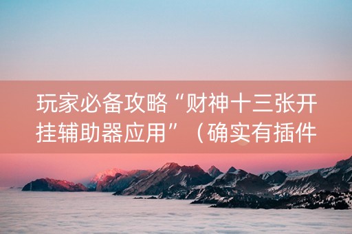 玩家必备攻略“财神十三张开挂辅助器应用”（确实有插件吗)