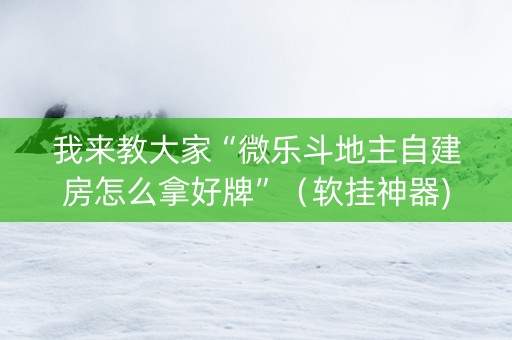 我来教大家“微乐斗地主自建房怎么拿好牌”（软挂神器)
