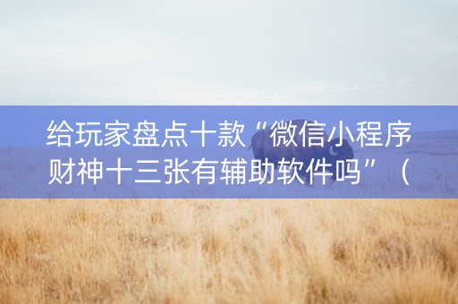 给玩家盘点十款“微信小程序财神十三张有辅助软件吗”（开挂神器下载)