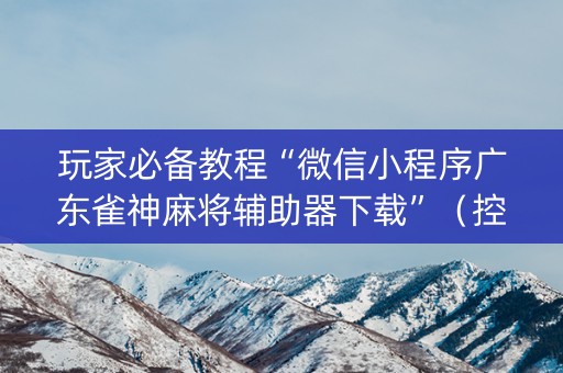 玩家必备教程“微信小程序广东雀神麻将辅助器下载”（控牌神器)