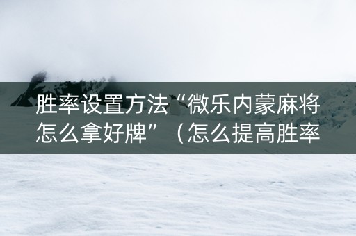 胜率设置方法“微乐内蒙麻将怎么拿好牌”（怎么提高胜率)