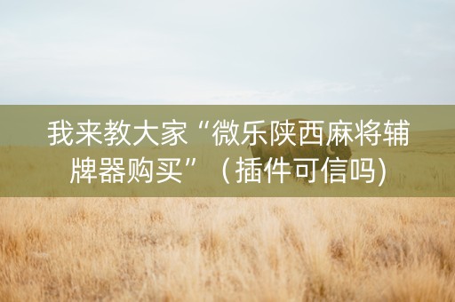我来教大家“微乐陕西麻将辅牌器购买”（插件可信吗)