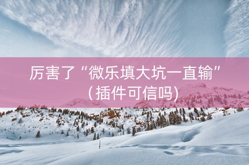厉害了“微乐填大坑一直输”（插件可信吗)