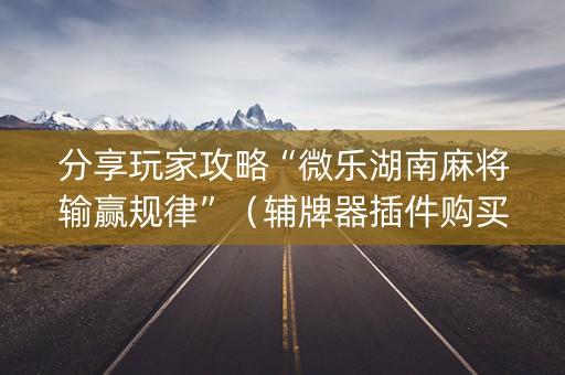 分享玩家攻略“微乐湖南麻将输赢规律”（辅牌器插件购买)