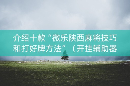 介绍十款“微乐陕西麻将技巧和打好牌方法”（开挂辅助器脚本)